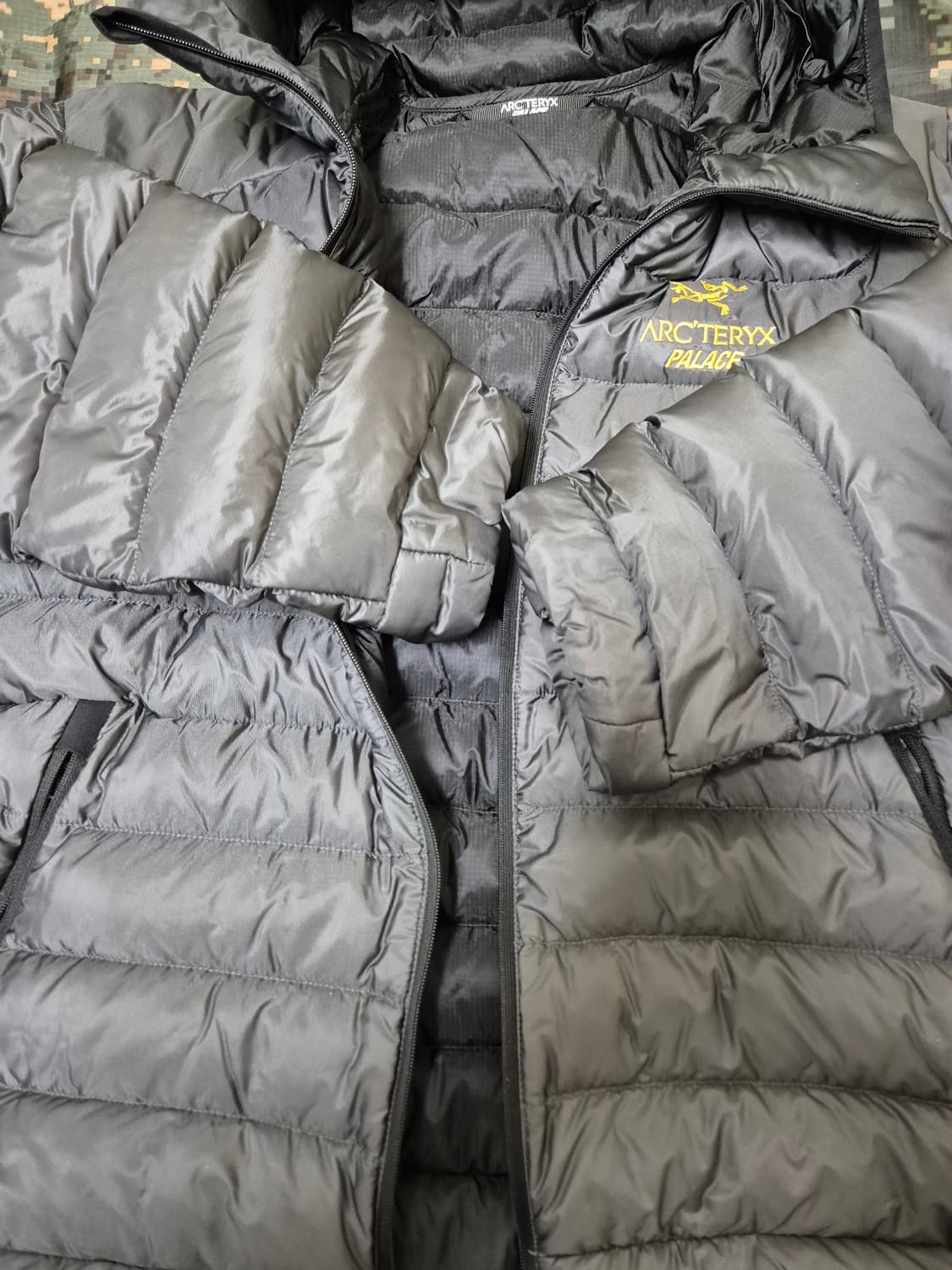 M) 아크테릭스 팔라스 세륨 lt 후디 상품이미지2