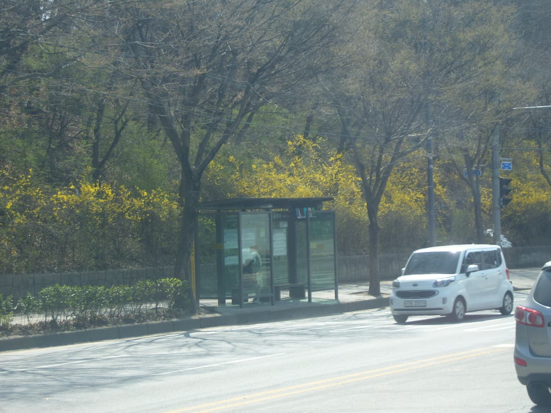 삼성 케녹스 S1030 (작례 있어요!) 상품이미지7