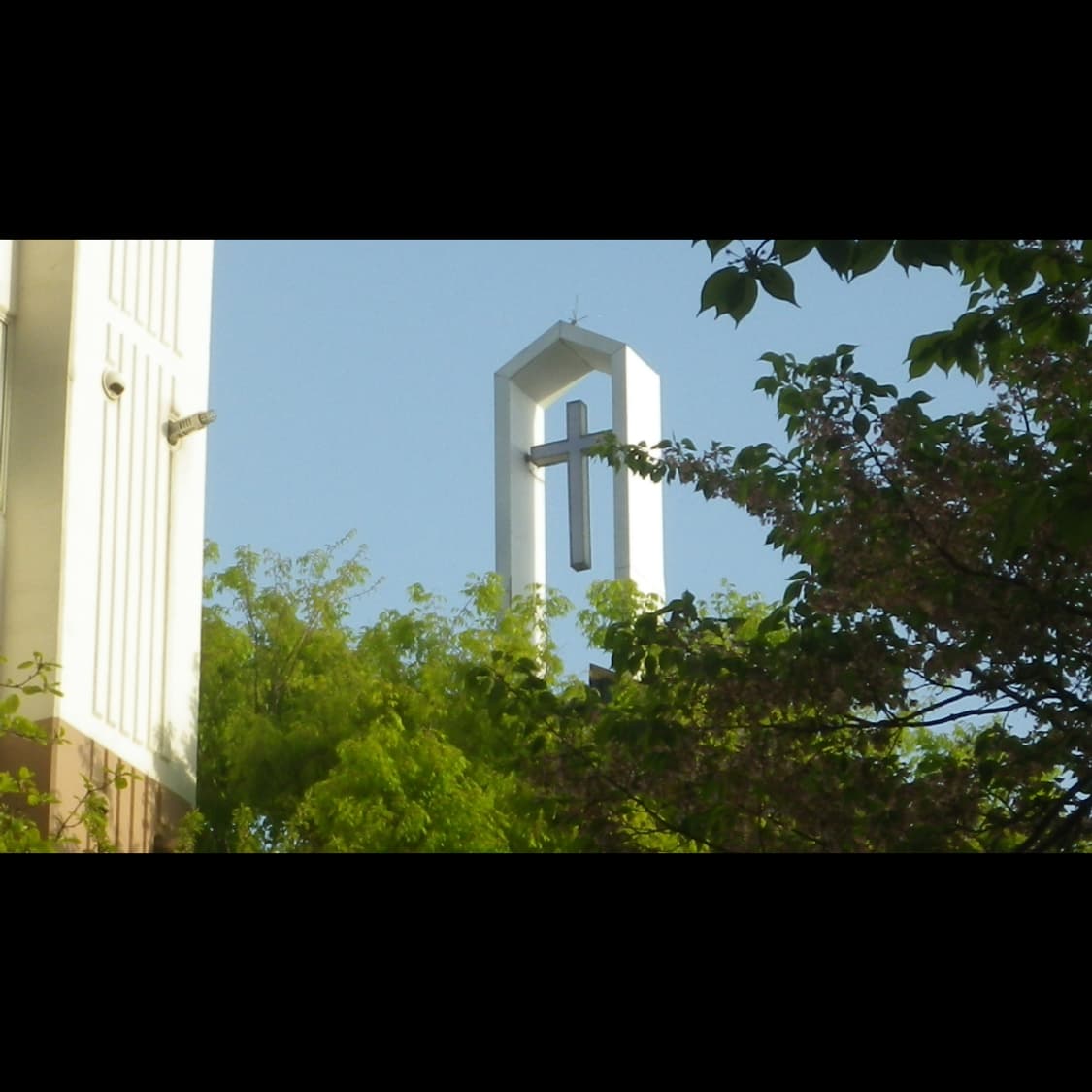 작례⭕️ 펜탁스 옵티오 WG-1 상품이미지9