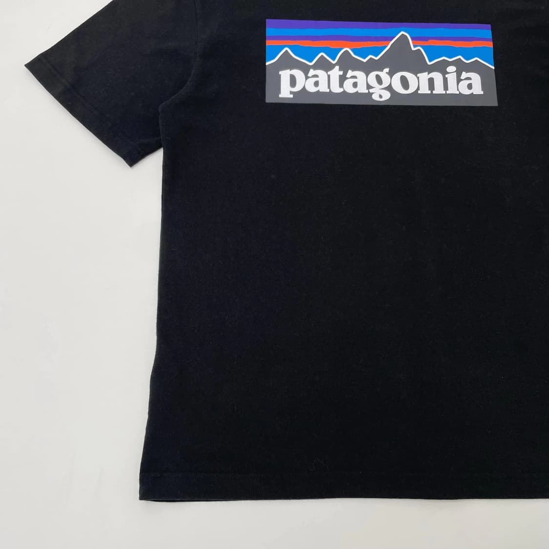 파타고니아 반팔티 상품이미지3