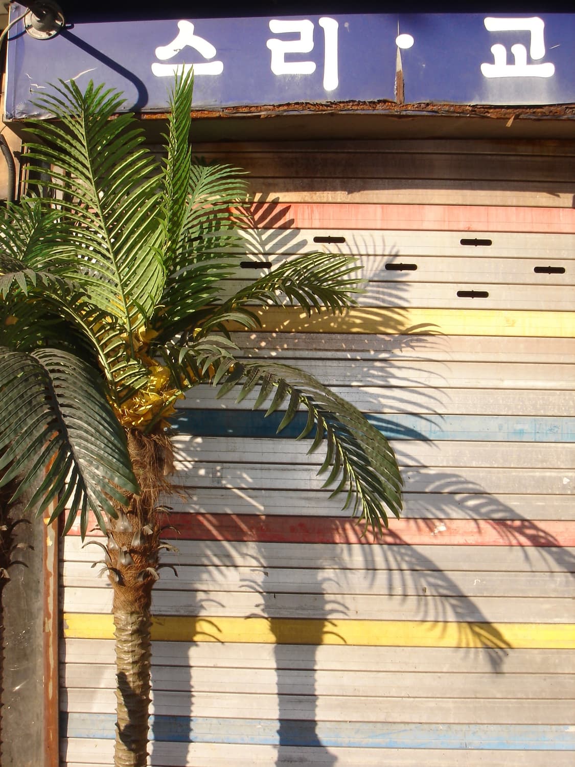 소니 사이버샷 DSC M2 - 사진 있음  상품이미지7