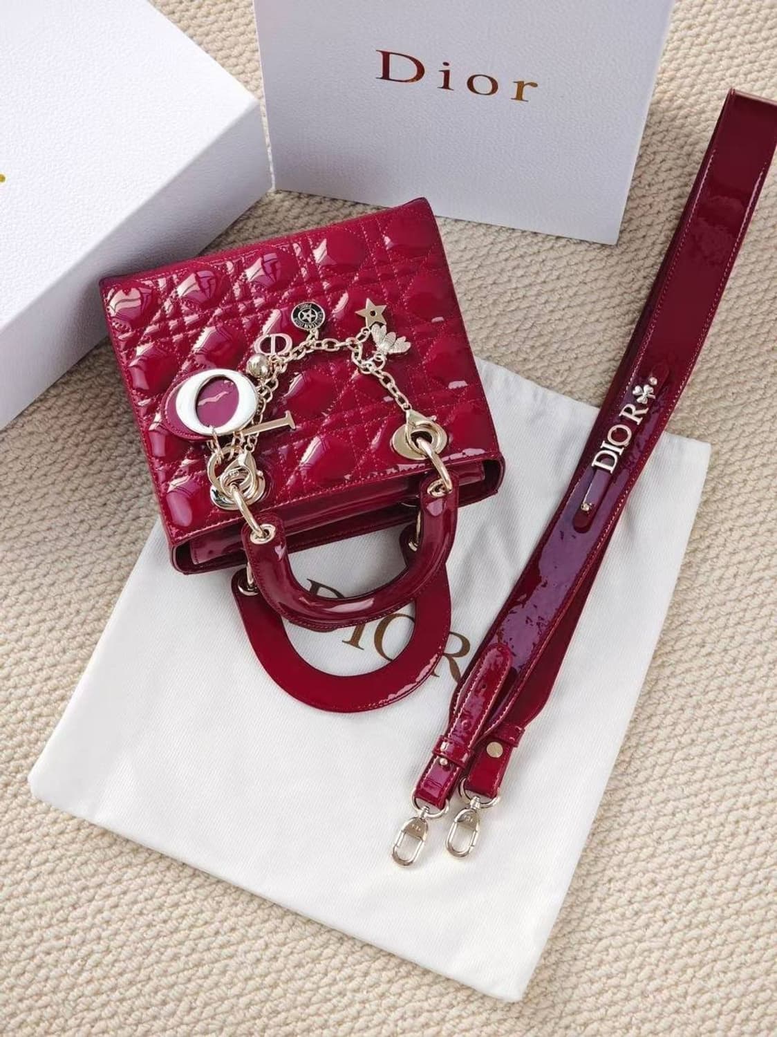디올 레이디 디올 미니 백 상품이미지6