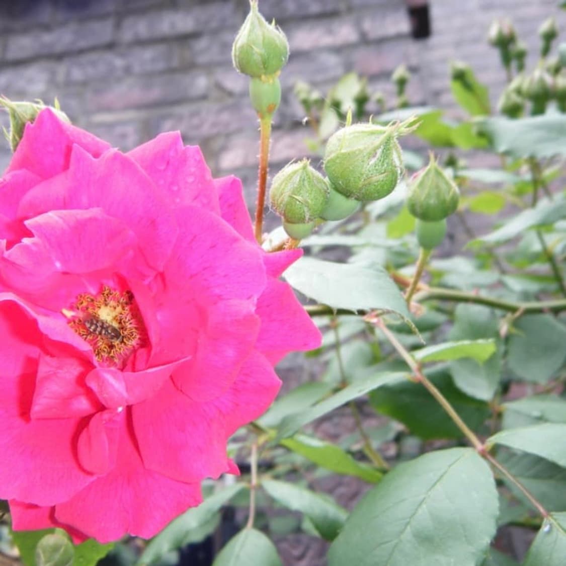 후지필름 파인픽스 Z33 WP 카메라 디카 상품이미지8