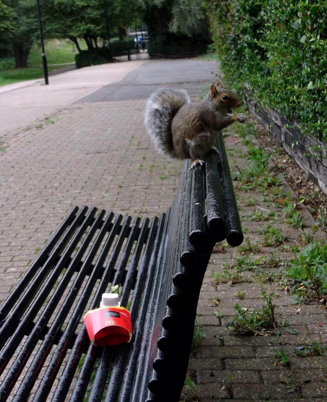 후지필름 파인픽스 ax650 디지털카메라 상품이미지9