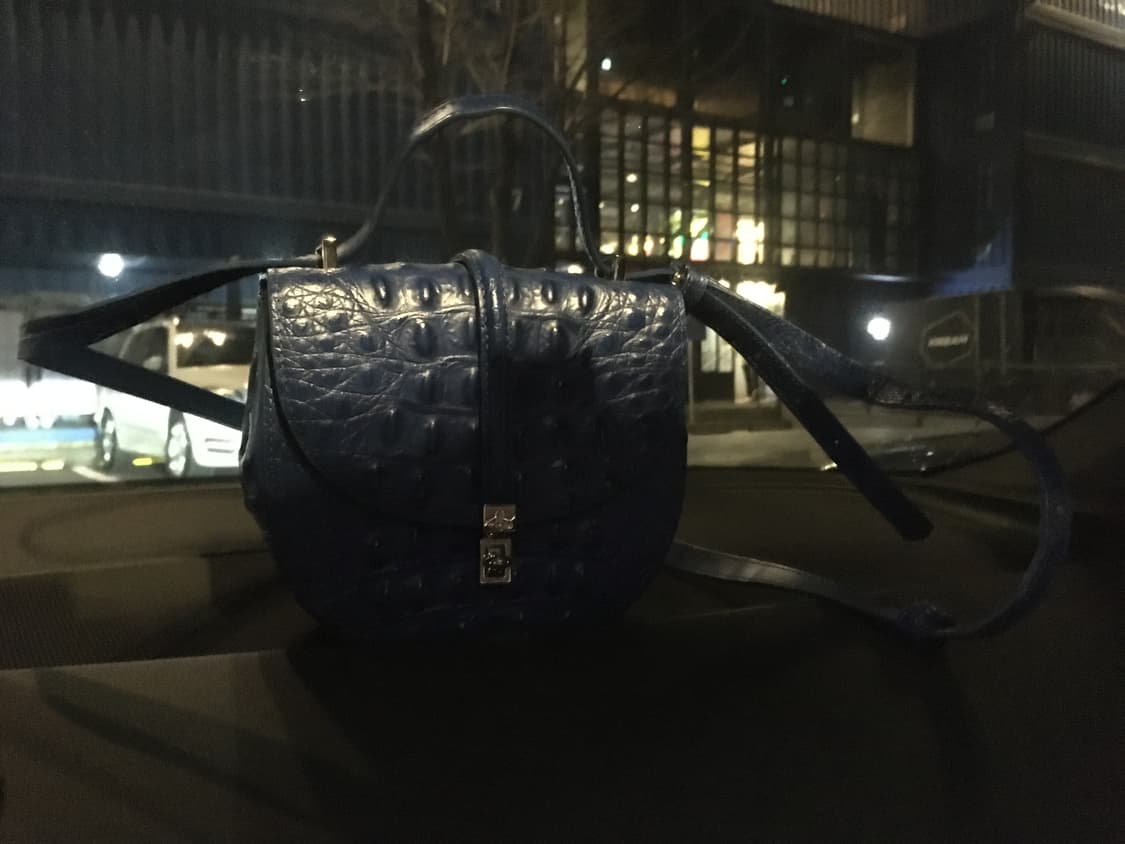 비비안웨스트우드 가방 상품이미지2