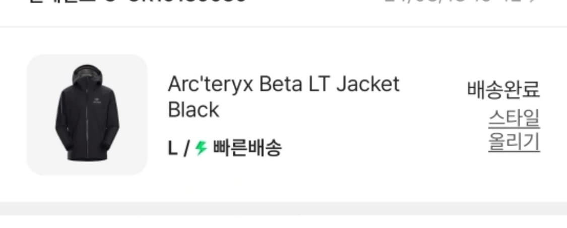아크테릭스 베타lt 블랙 라지 급처 상품이미지4