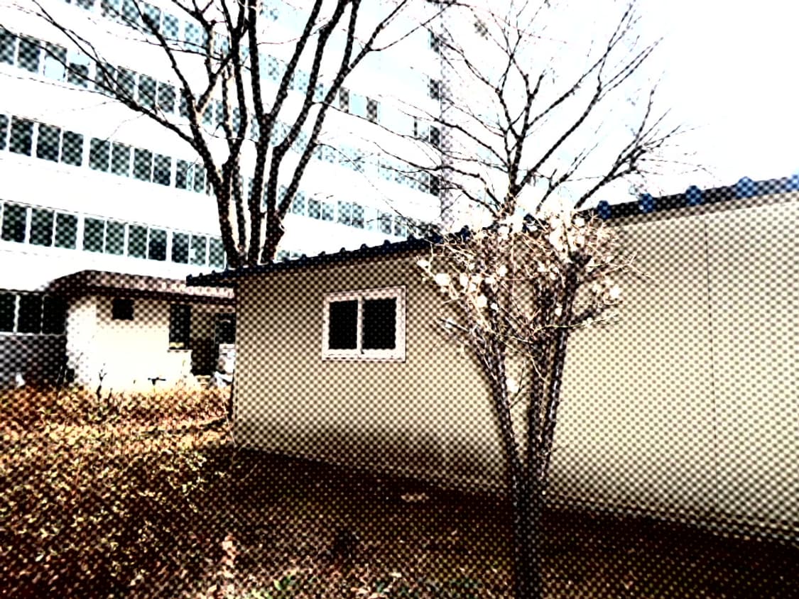 삼성 ST66 디지털카메라 상품이미지10