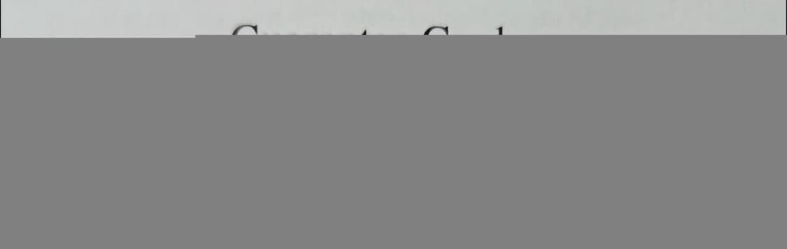 [정품 최상급]제이에스티나 ALTO LG 토트 IV 가방 새 상품 상품이미지6