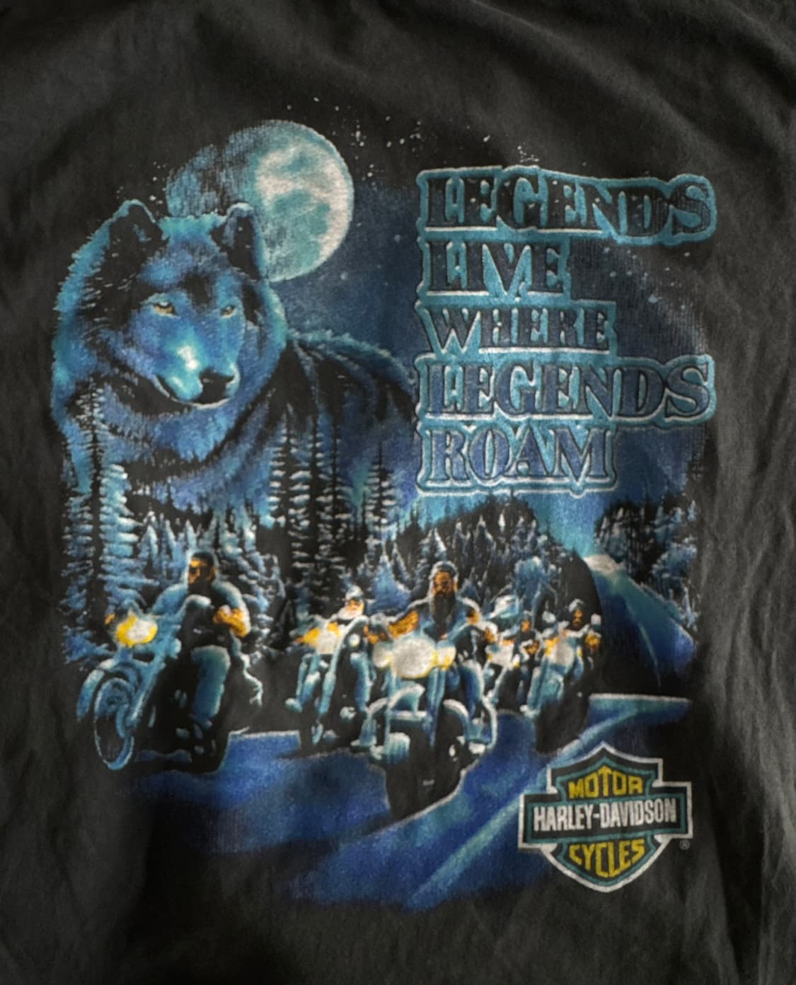 90s-00s 빈티지 할리데이비슨 롱슬리브 티셔츠 상품이미지4