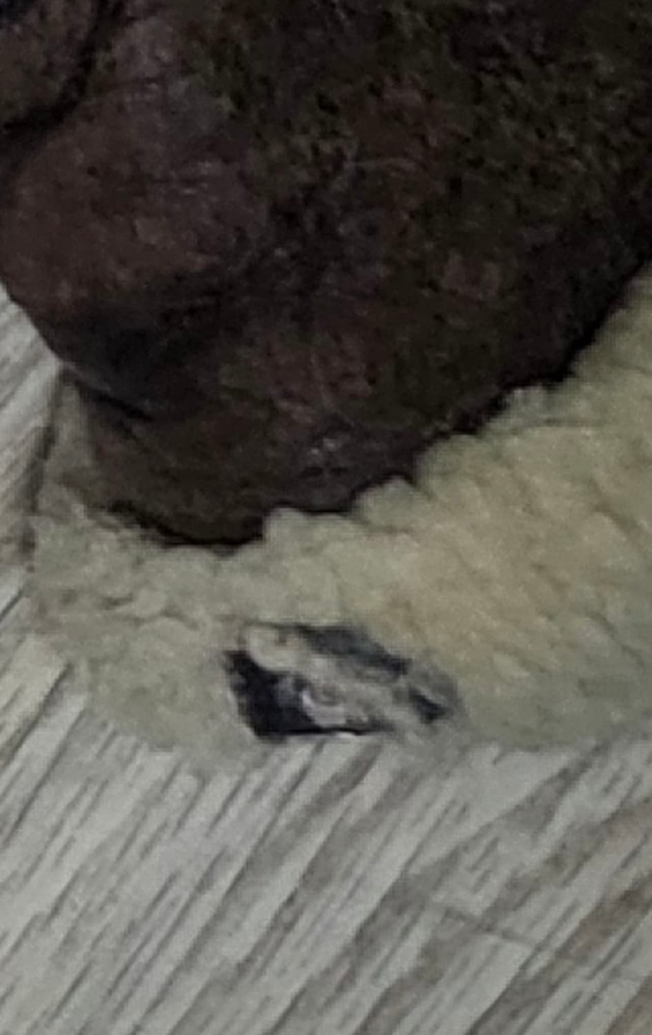 [44] 아비렉스 b-3 무스탕 자켓 상품이미지5