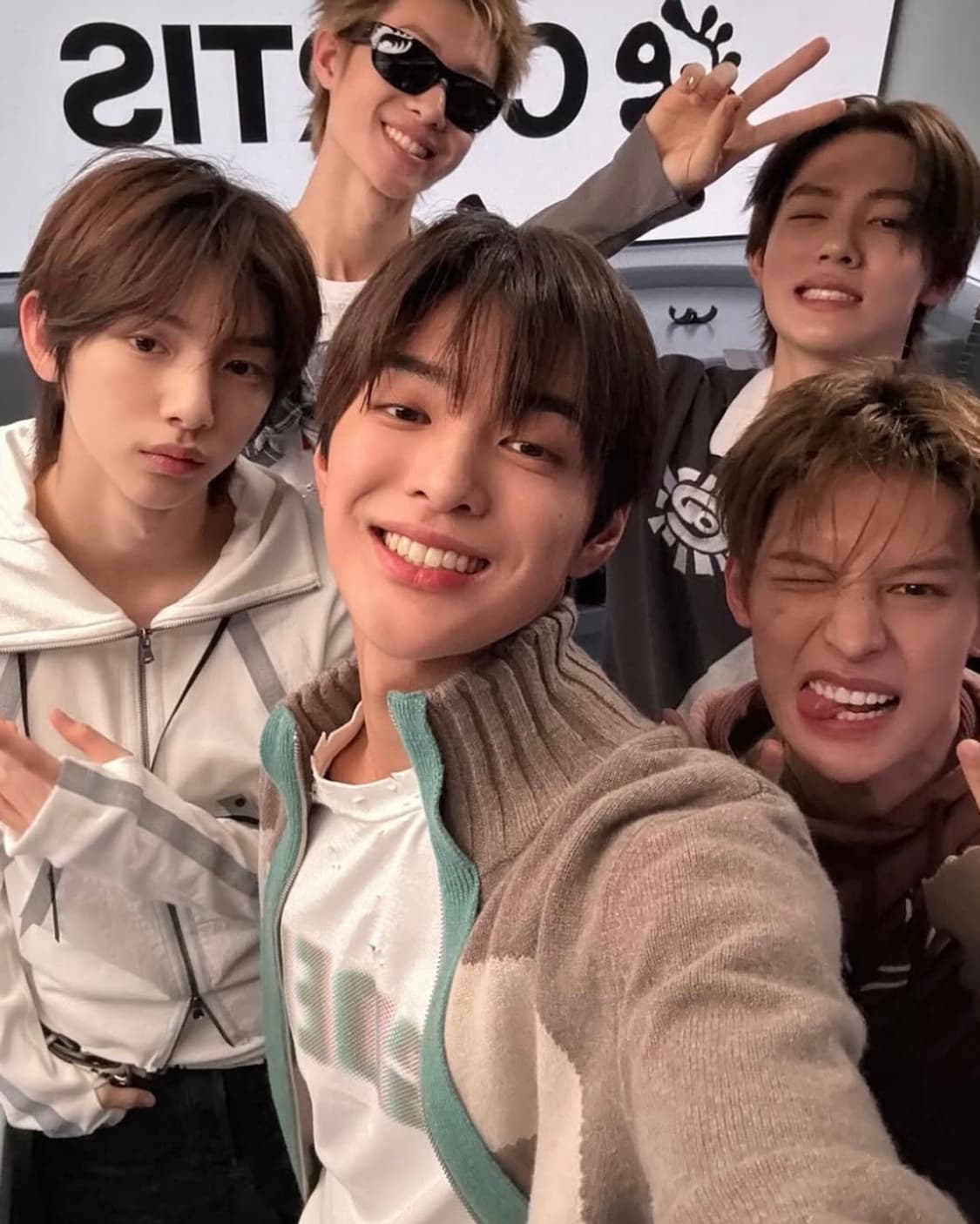 [3]에드워드 커밍 Vortex Window 캐시미어 가디건/브라운 상품이미지5