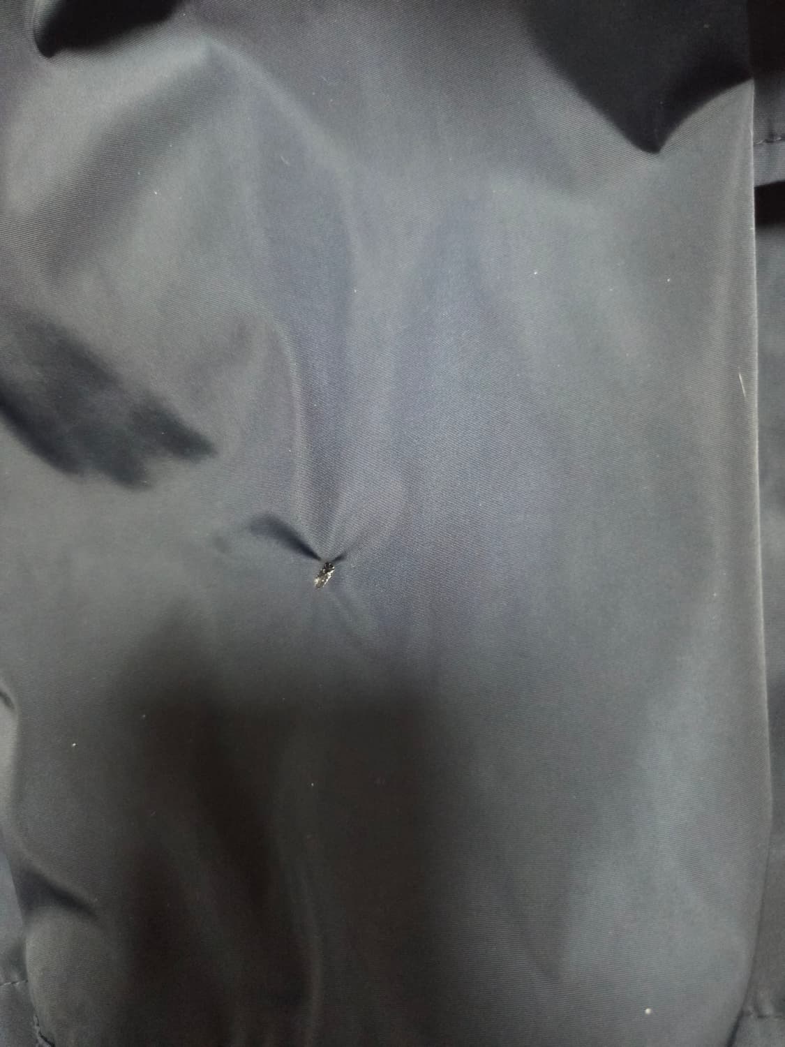 마시모두띠 폴리필드 자켓105 상품이미지8