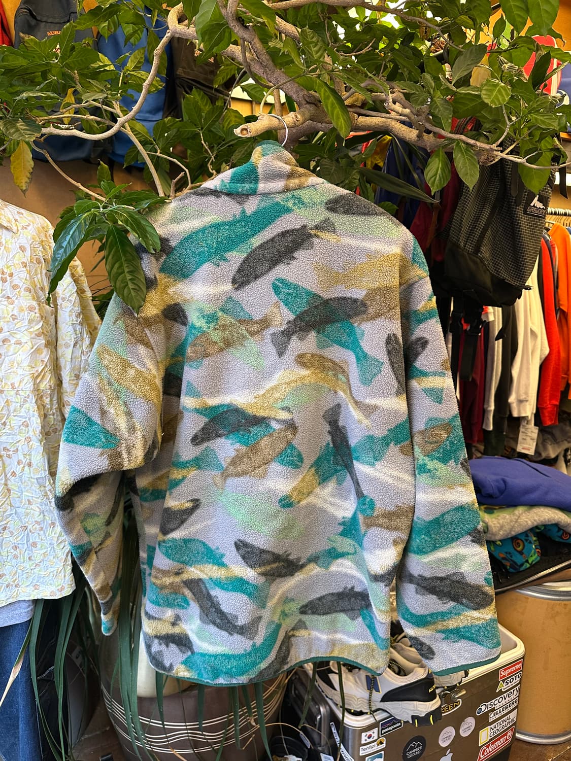 Z-446 파타고니아 신칠라  상품이미지2