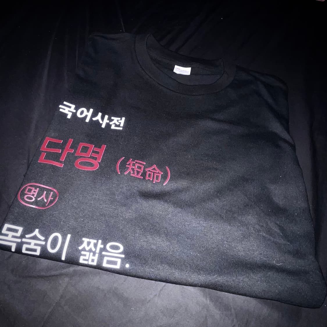 단명 티샤츠 상품이미지2