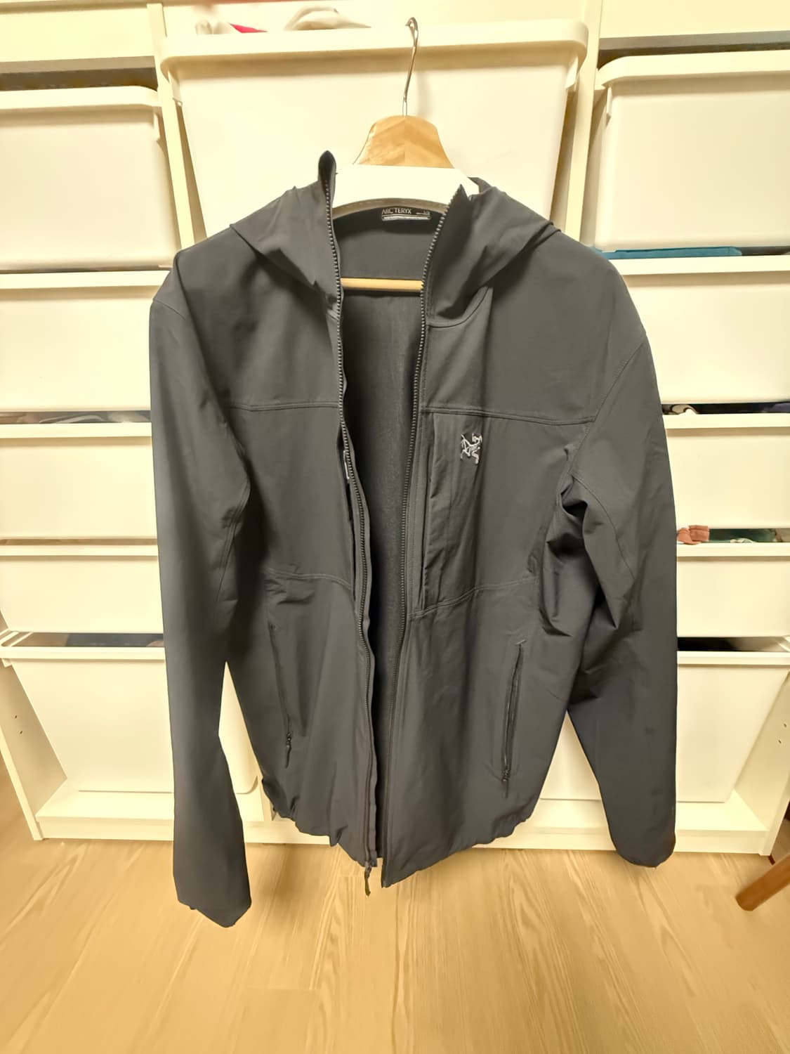 아크테릭스 감마 후디 25fw  /L 상품이미지1