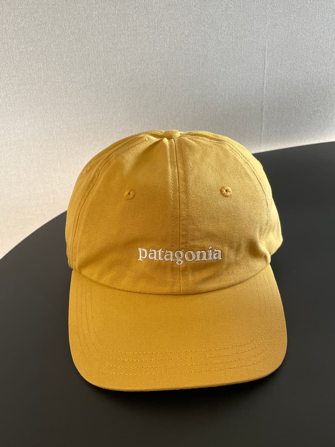 파타고니아 볼캡 상품이미지5