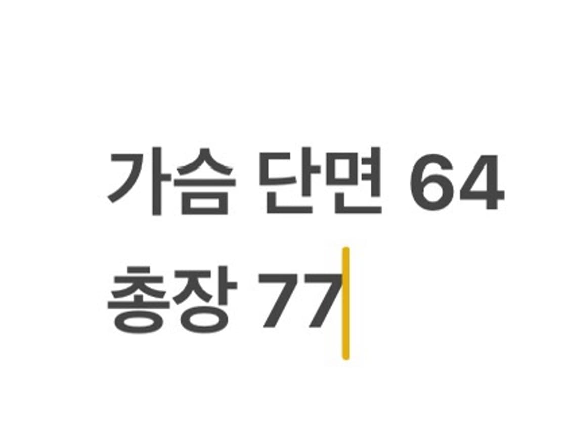 [ 정품/XL,110 ] 조던 엔지니어드 퀄티드 조끼 b14 상품이미지7
