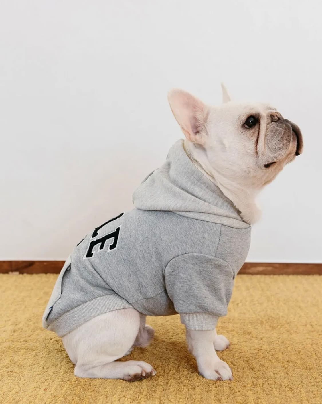 YALE 강아지 후드티 XL 상품이미지1