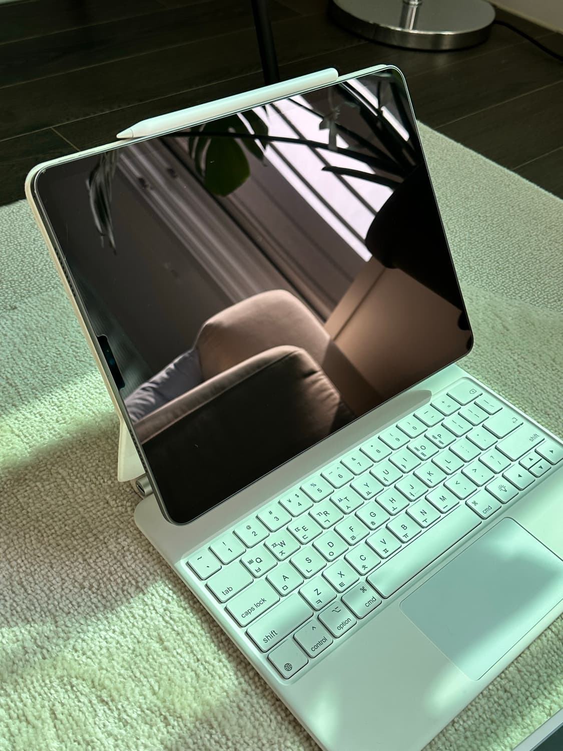 아이패드 프로 5세대 12.9 256기가 풀박 + 아이펜슬 상품이미지5