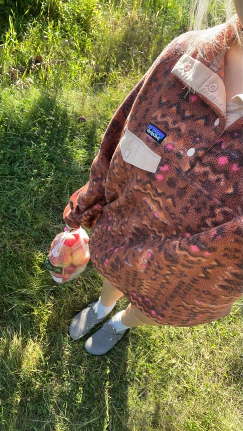 Patagonia Synchilla Snap-T 상품이미지1