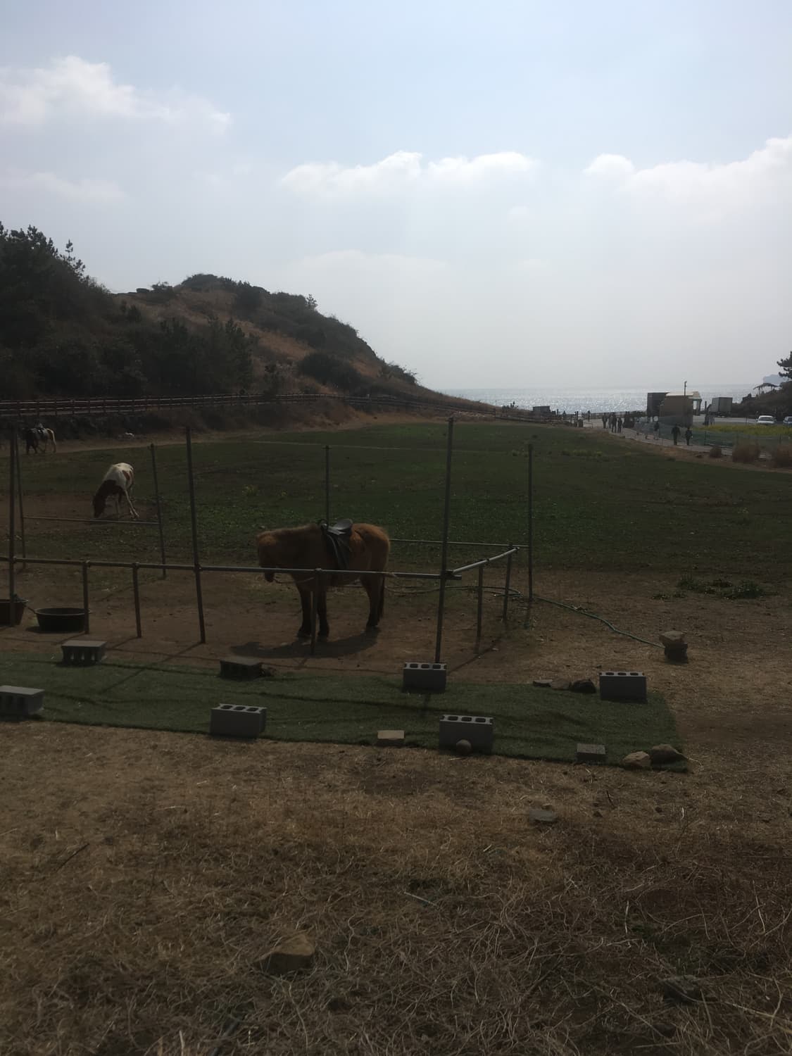 *freesbee님 개인결제창 (미니도트) - 💝* 상품이미지1