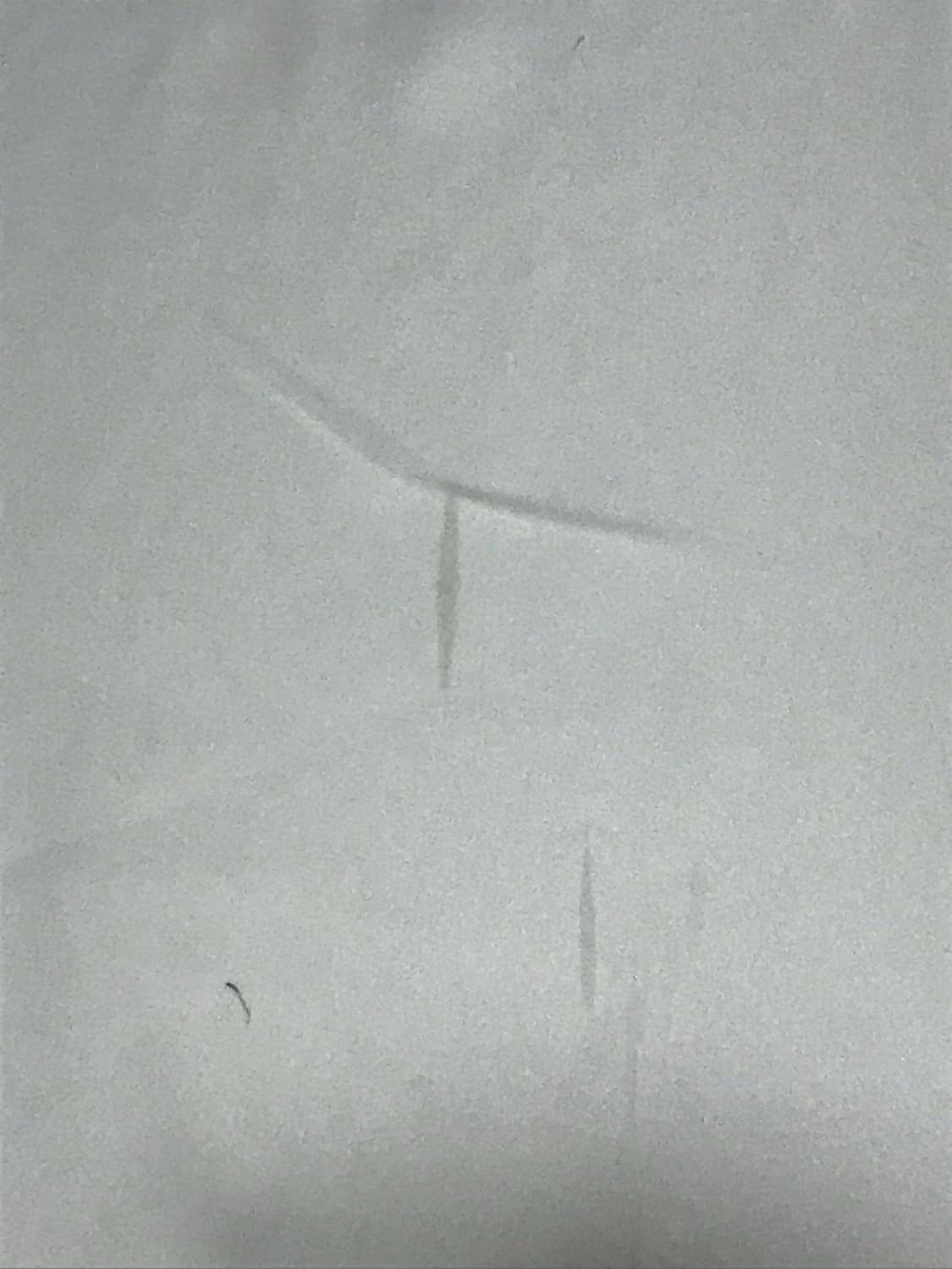 아디다스 롱슬리브 상품이미지2