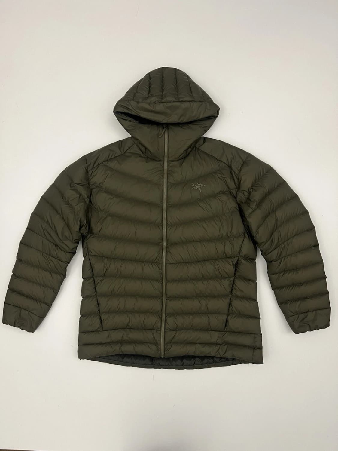 L 아크테릭스 아그리움 후디  타츠 상품이미지1