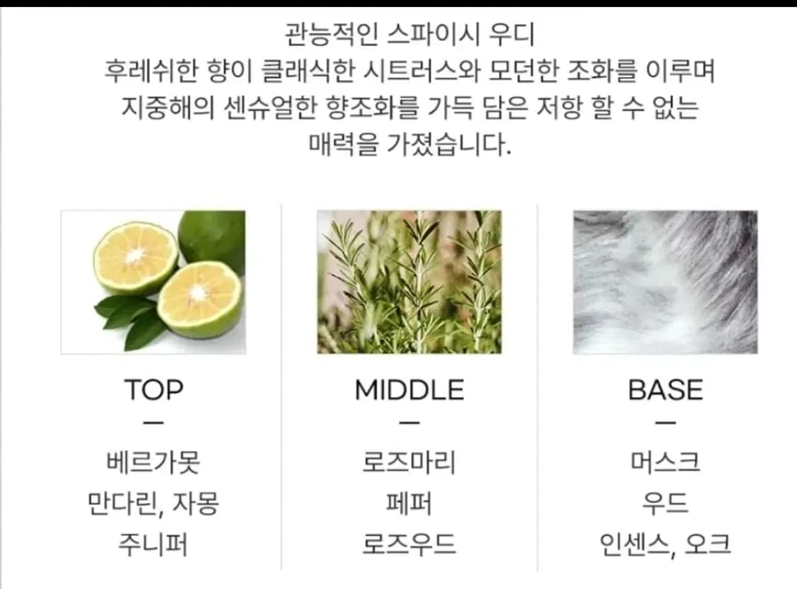 돌체앤가바나 라이트블루 뿌르옴므 EDT 75ml 상품이미지3