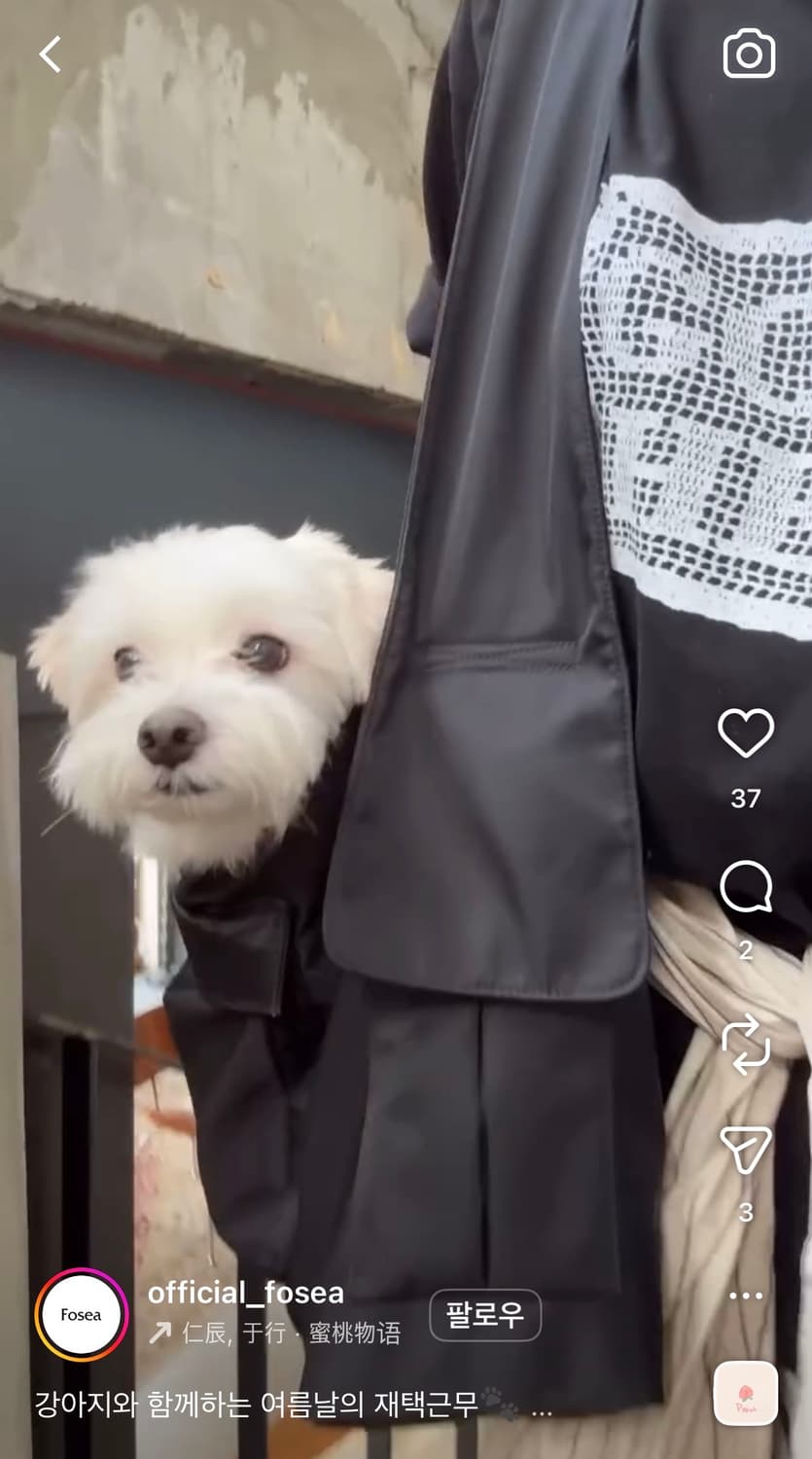 포시 fosea 포켓 빅 숄더백(숏버전) 상품이미지2