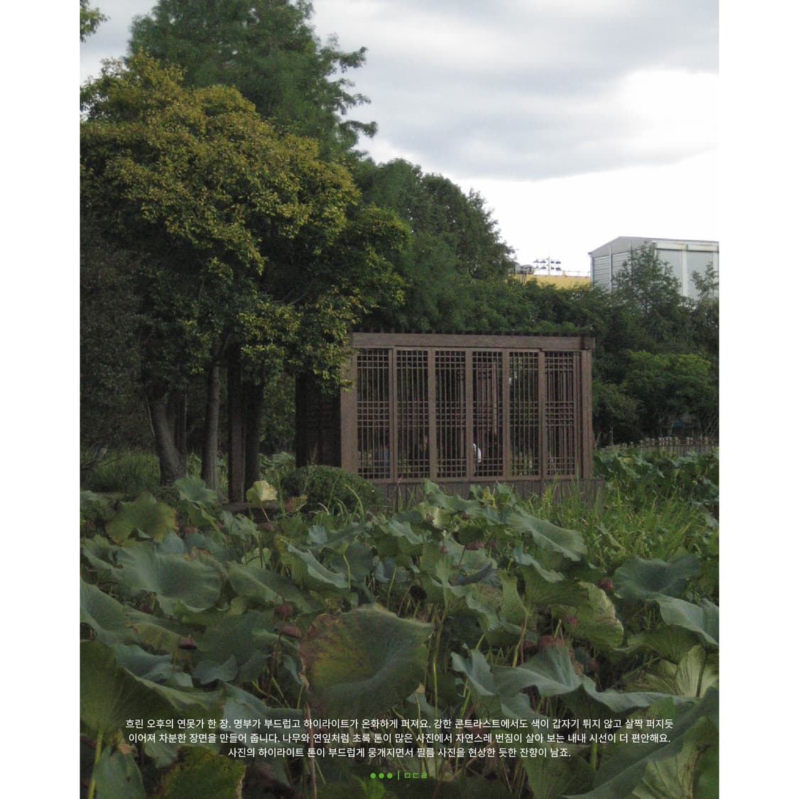 Canon IXY DIGITAL 50 상품이미지5