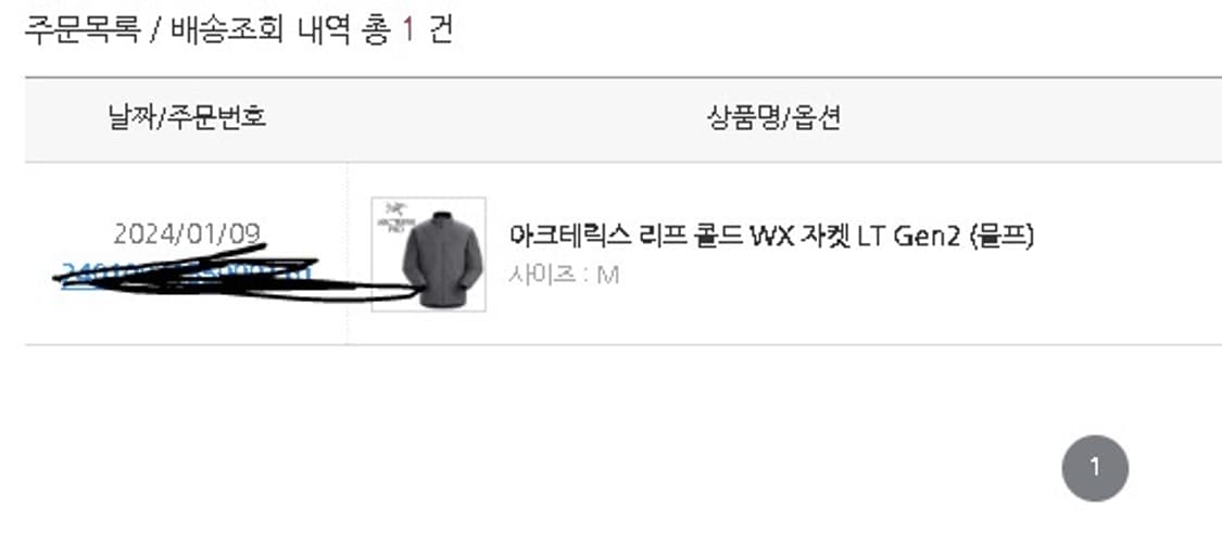 [M]아크테릭스 리프 콜드 Wx자켓 It gen2 상품이미지8