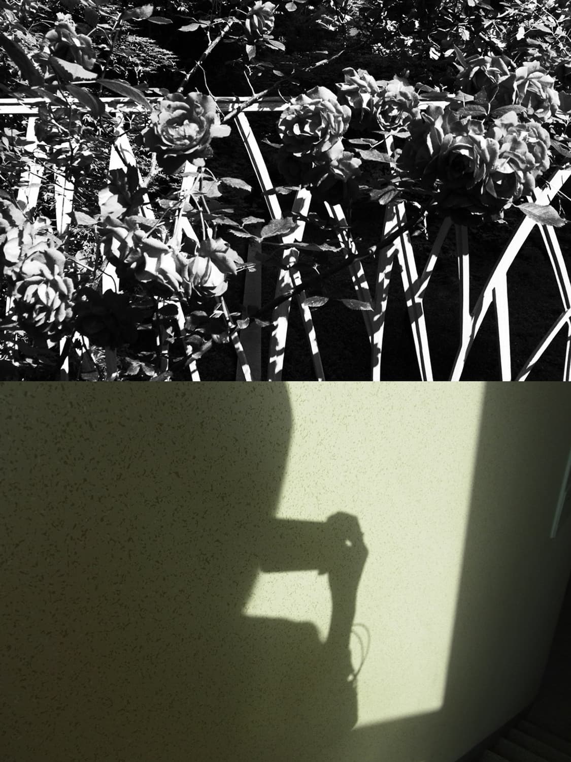 🌙 리코 CX4 🌙 빈티지 디카 상품이미지8