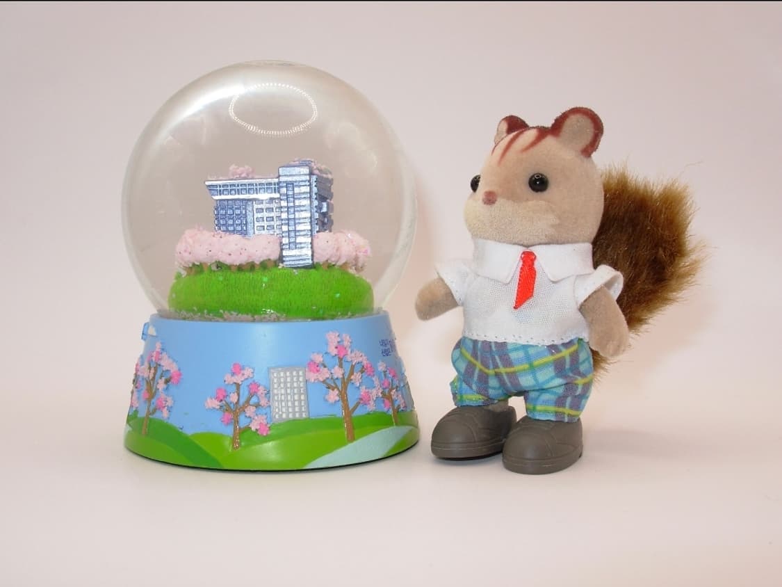 🤍똑딱이디카💿니콘 쿨픽스 L1 상품이미지3