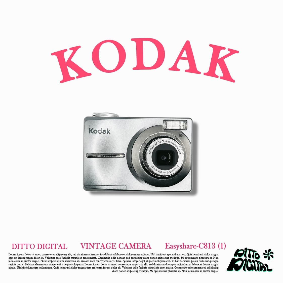 Kodak easyshare C813 Silver 상품이미지1