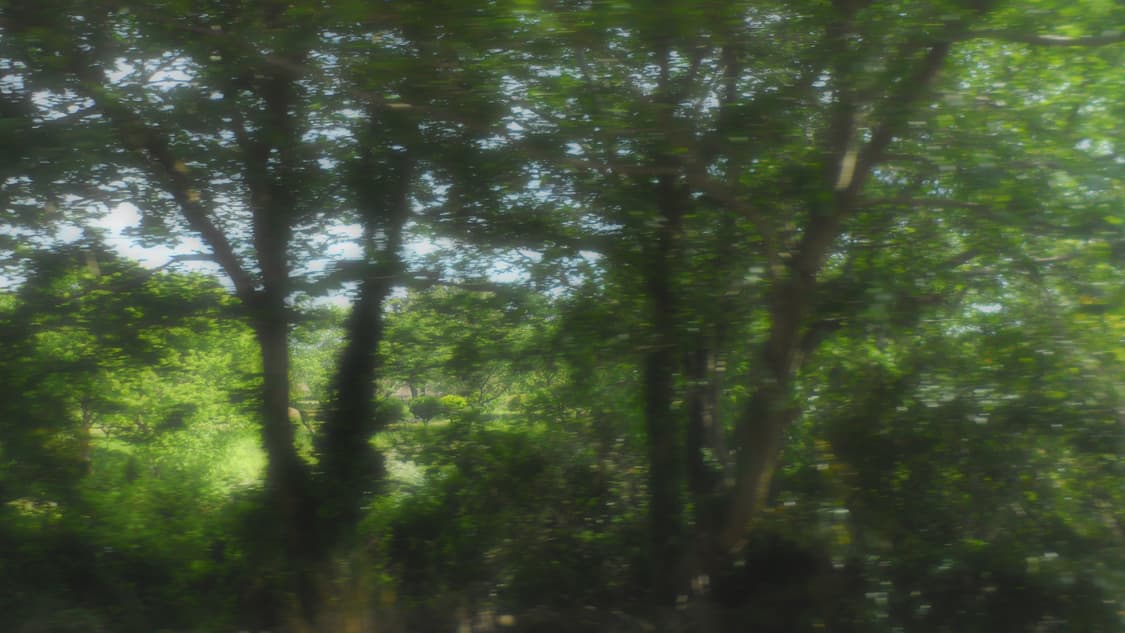 삼성 mv 800 상품이미지8
