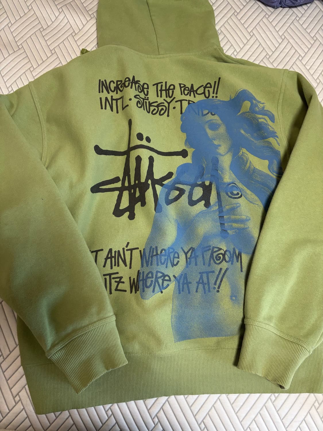 스투시 이스트 비너스 후드 집업 상품이미지1