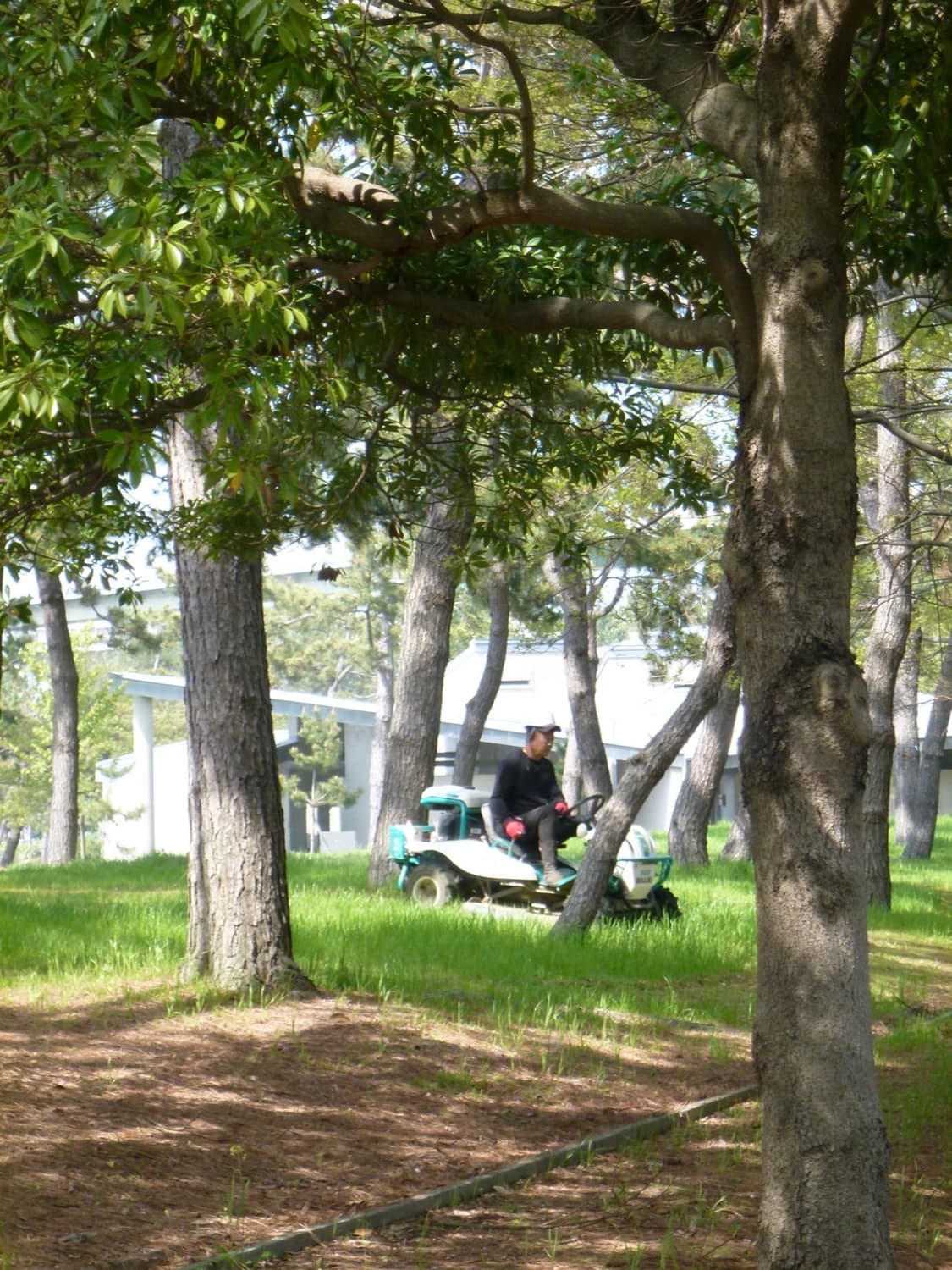 희귀 ⚡️ 파나소닉 루믹스 DMC-FX80 빈티지디카 디카 상품이미지3