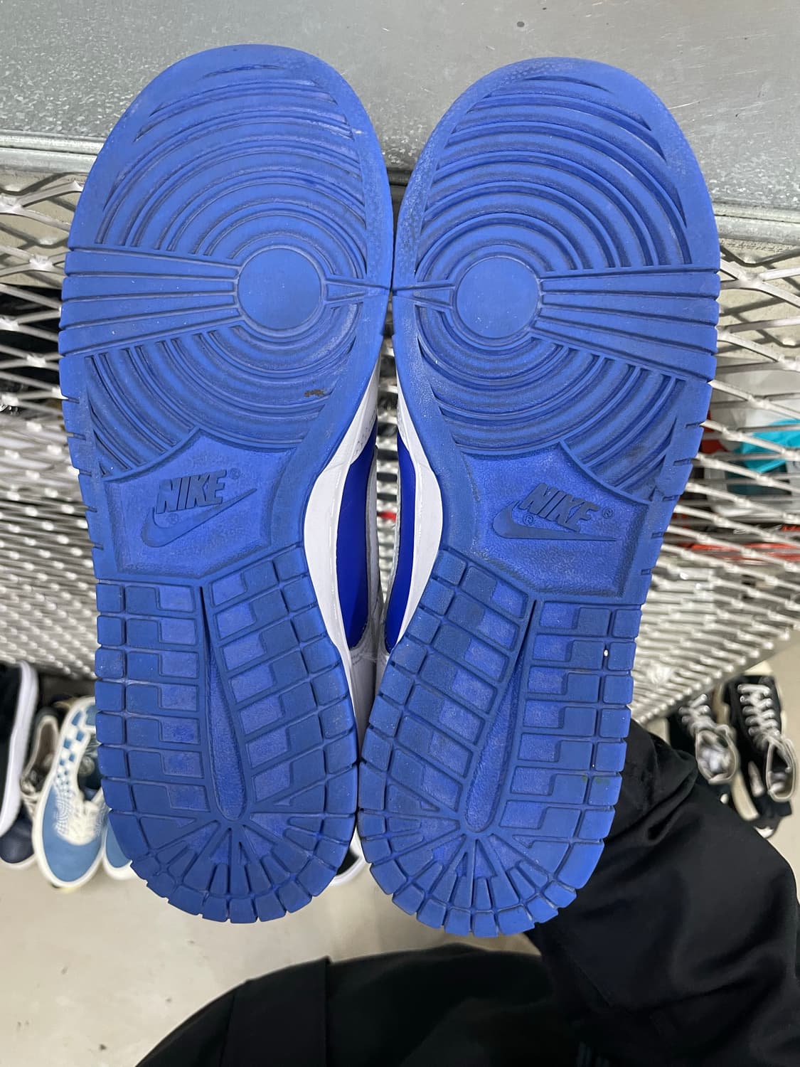 나이키 덩크 로우 레이서 블루 앤 화이트   280 상품이미지6