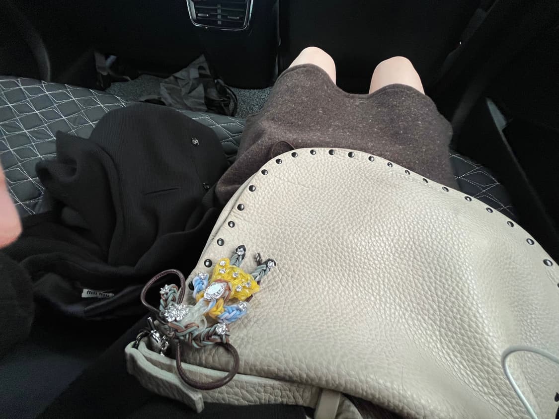 miu miu 90s archive bag 상품이미지6