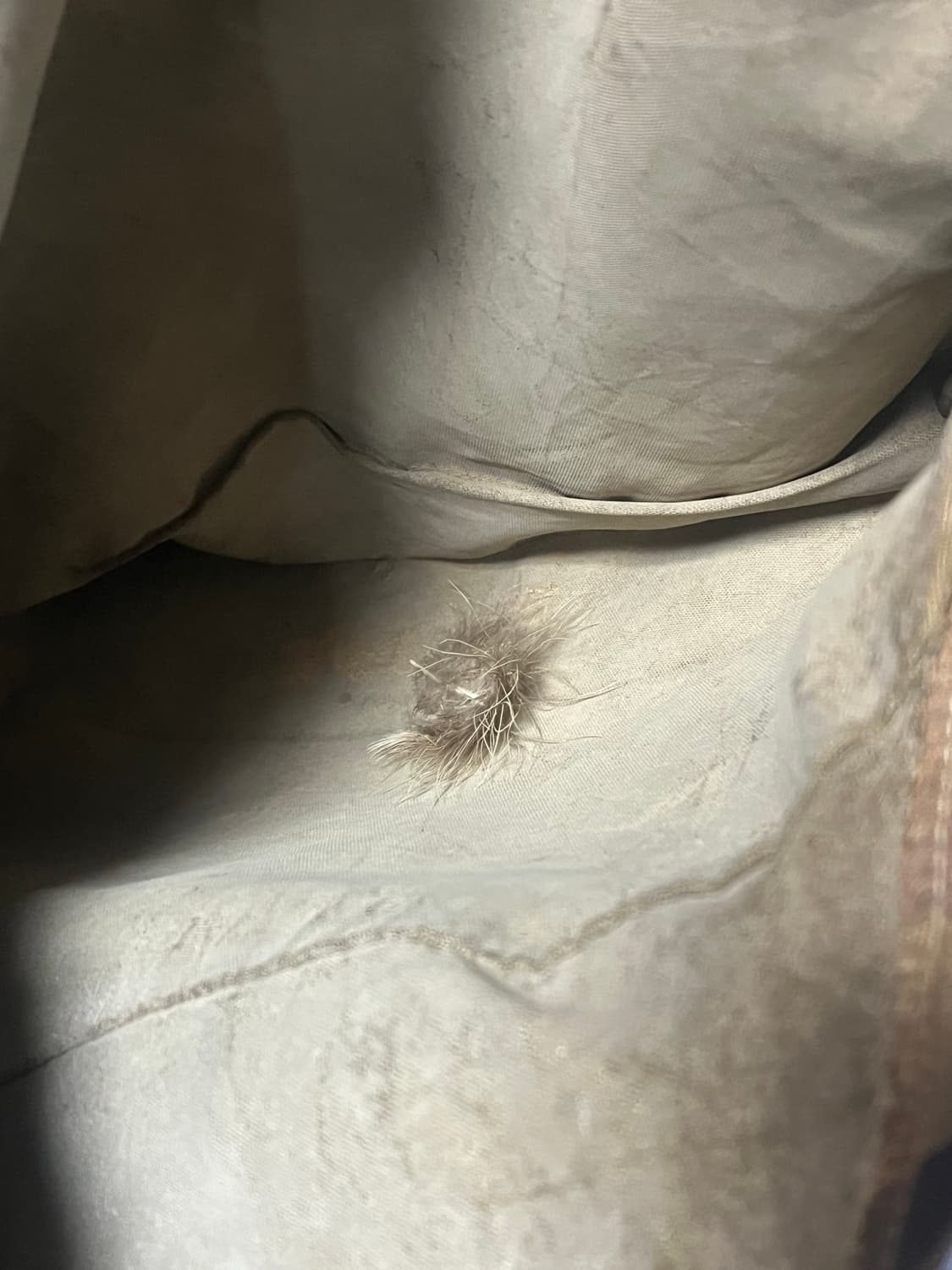 칼하트 덕카모 헌팅 자켓 상품이미지4