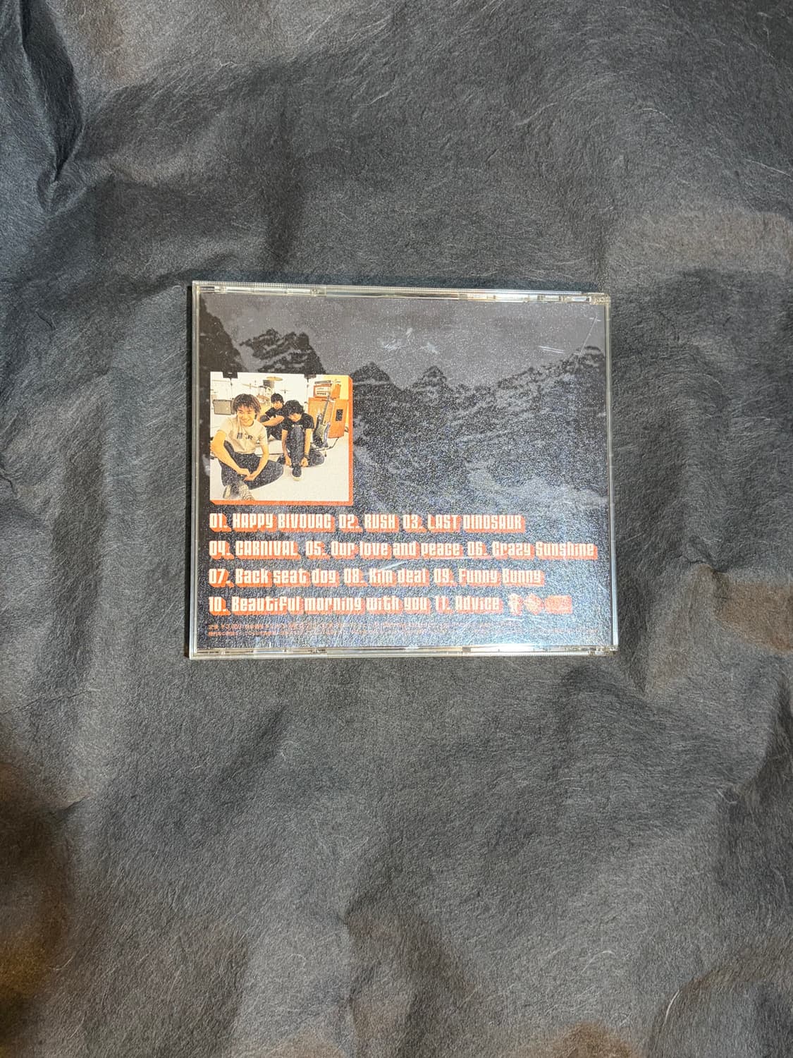 The pillows - happy bivouac 상품이미지7