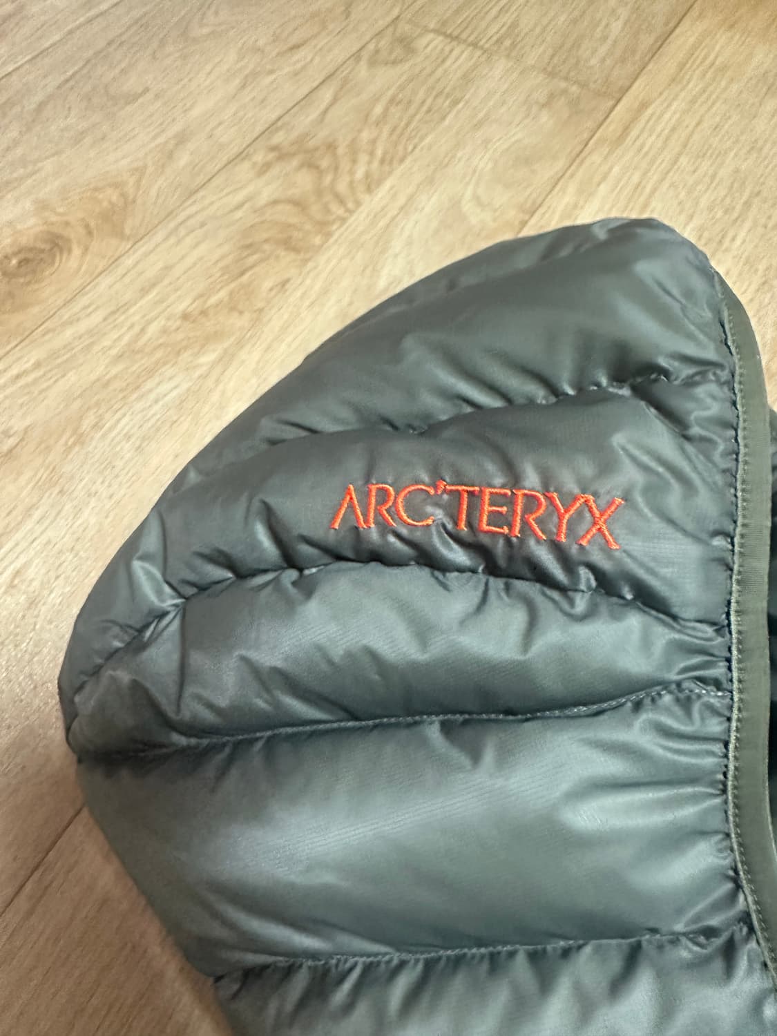 아크테릭스 세륨 후디 포리지 베르베 L 상품이미지9