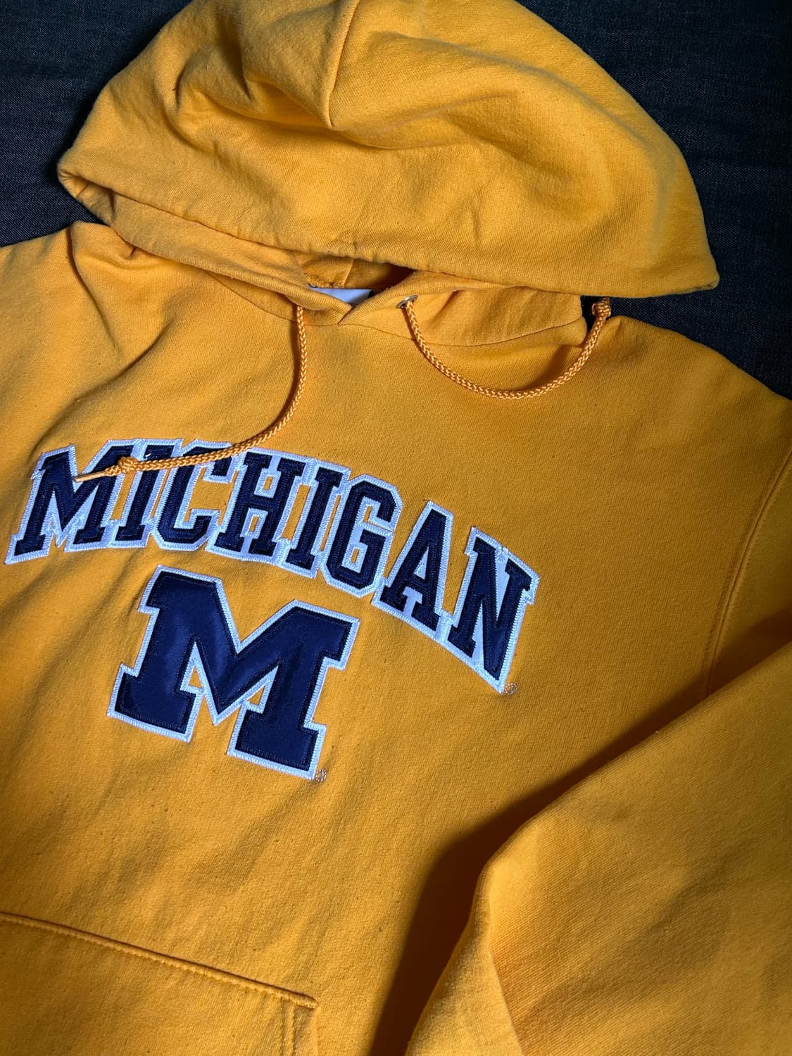 Champion Michigan Hoodie 상품이미지3
