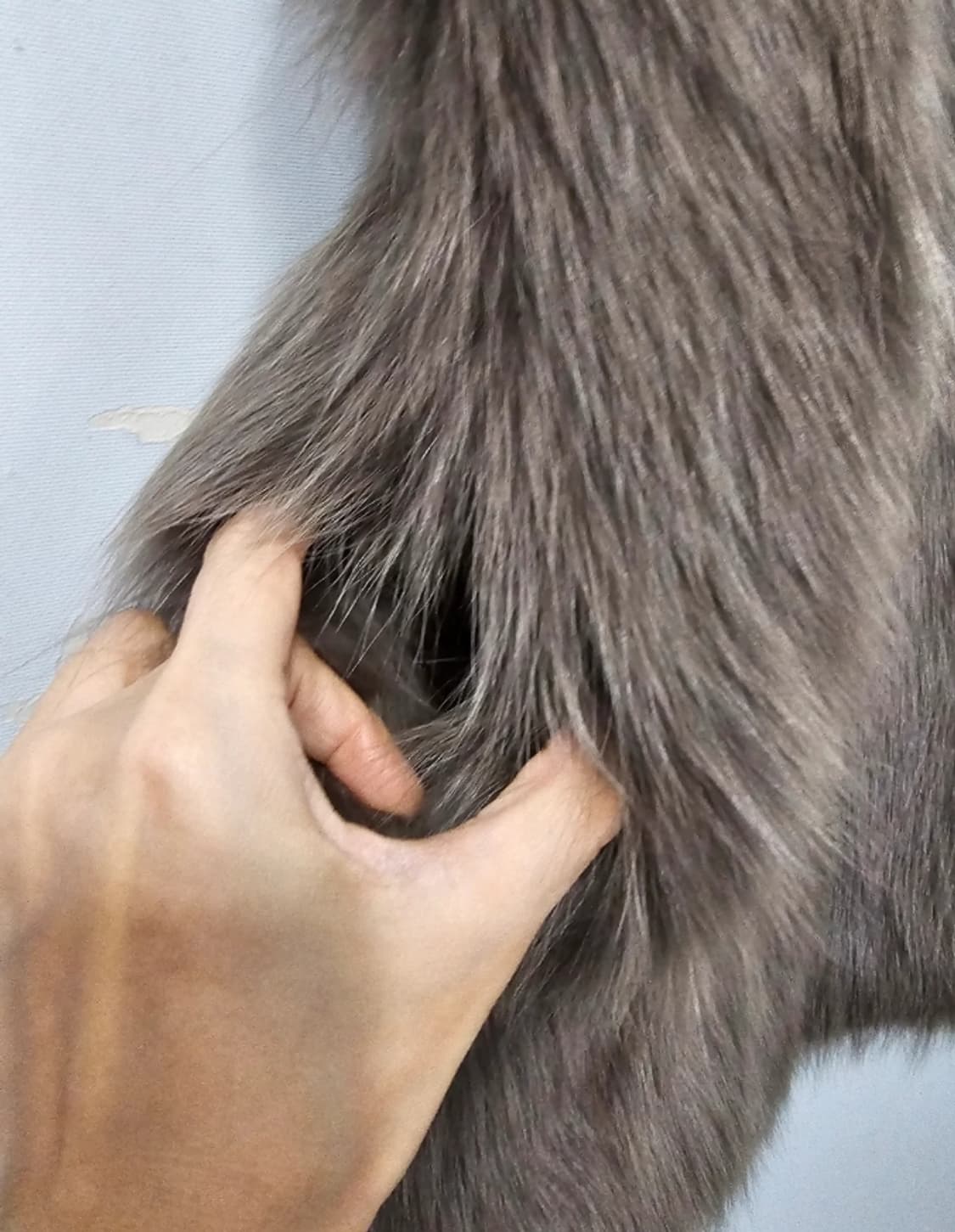 Jimmy Garcia 폭스 퍼 롱베스트 ~66 상품이미지6