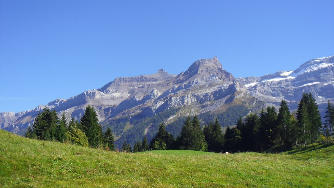 (프레임꾸미기💜) 펜탁스 옵티오 OPTIO LS465 디카 디지털카메라 상품이미지9