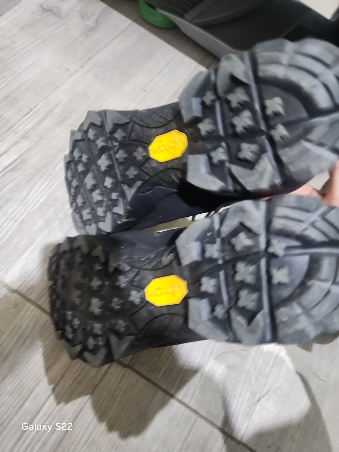 로아 카타리나42  상품이미지6