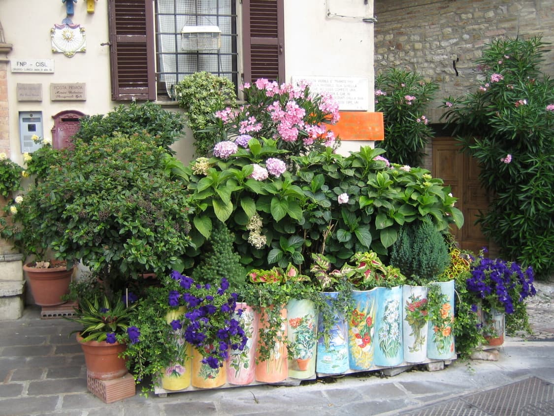 (한국어 지원) 캐논 IXY50 (IXUS40) 빈티지디카 디지털카메라 상품이미지7