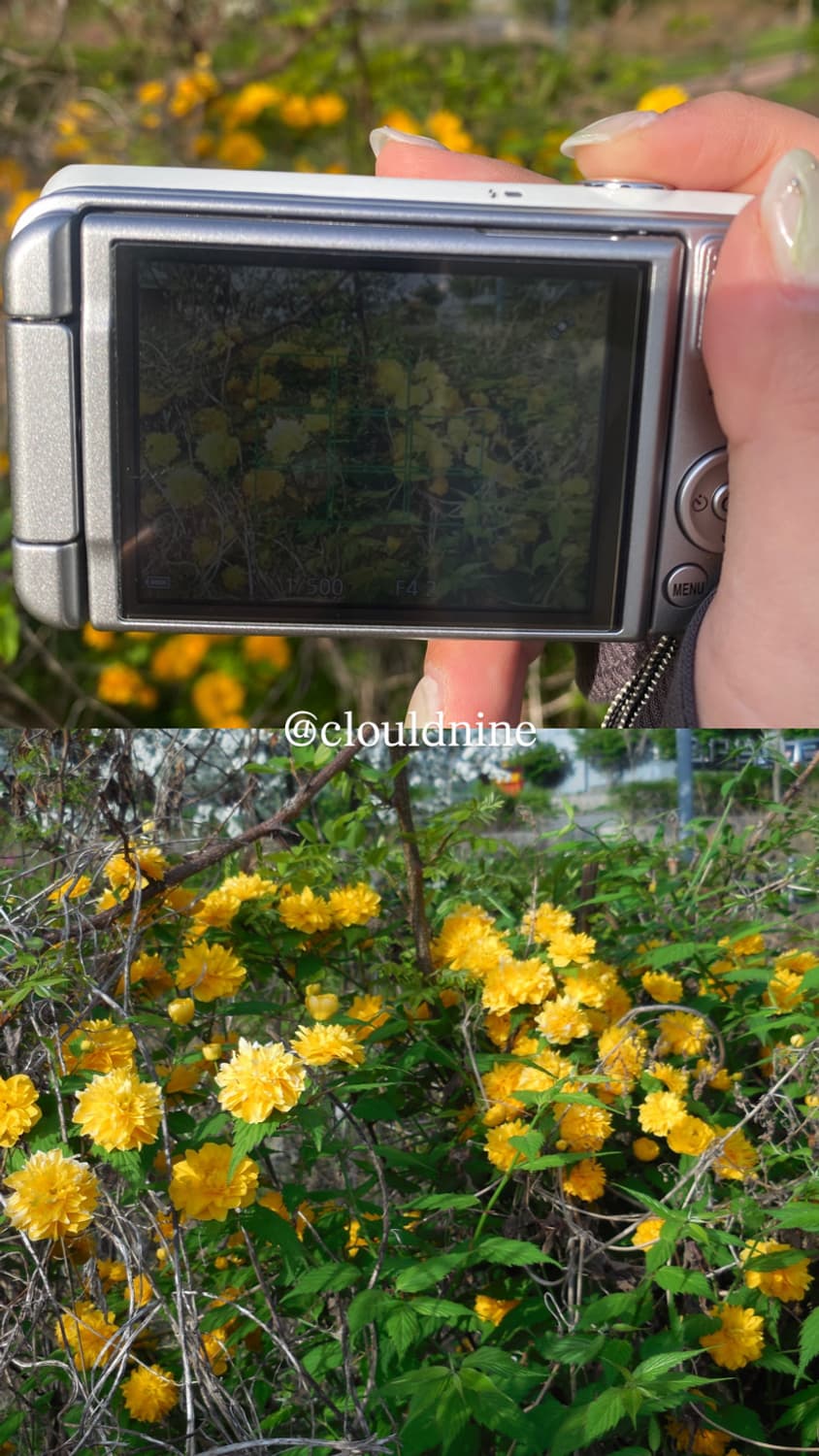 민트급.셀카캠✨ nikon 쿨픽스coolpix s6600 디카 상품이미지8