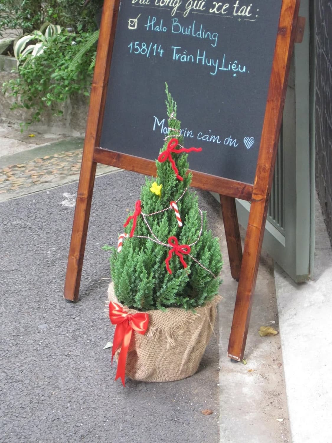 희귀✨) 캐논 ixy110is (ixus95is) 작례있음 상품이미지5