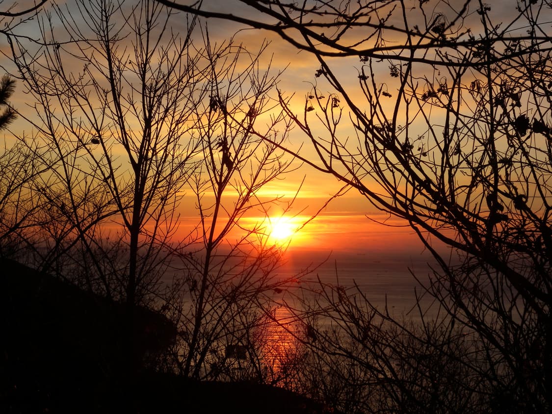 Nikon coolpix p6000 (작례ㅇ) 상품이미지7